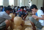 20 năm nghiên cứu chữa nghiện ma túy trong 20 ngày
